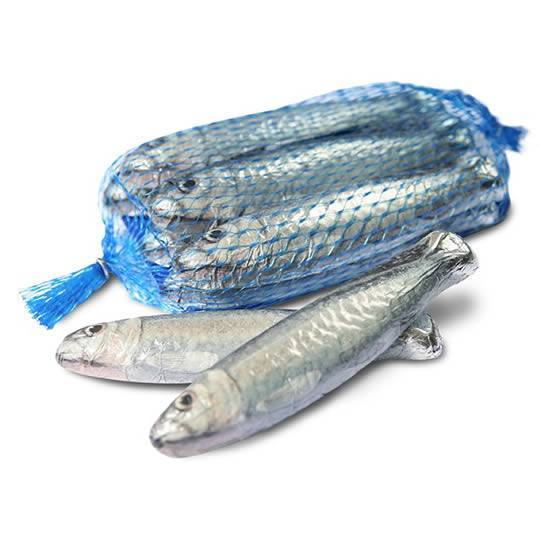 Buy Michel Cluizel Milk Chocolate Sardines from choctrade Michel Cluizel Milk Chocolate Sardines